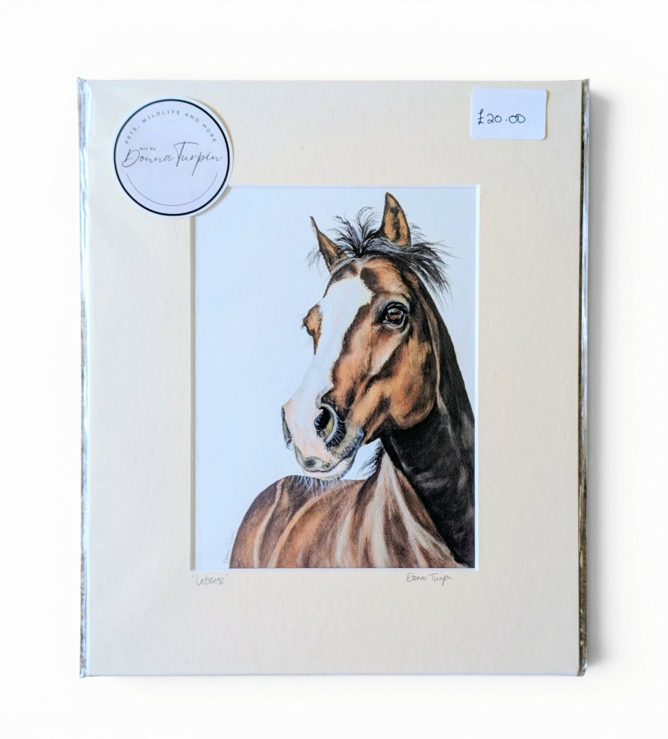 Ready to frame, fine art giclee print