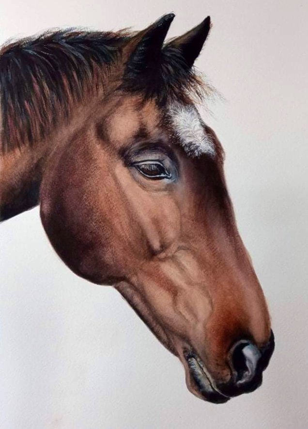 Artwork 33 by Art by Donna Turpin