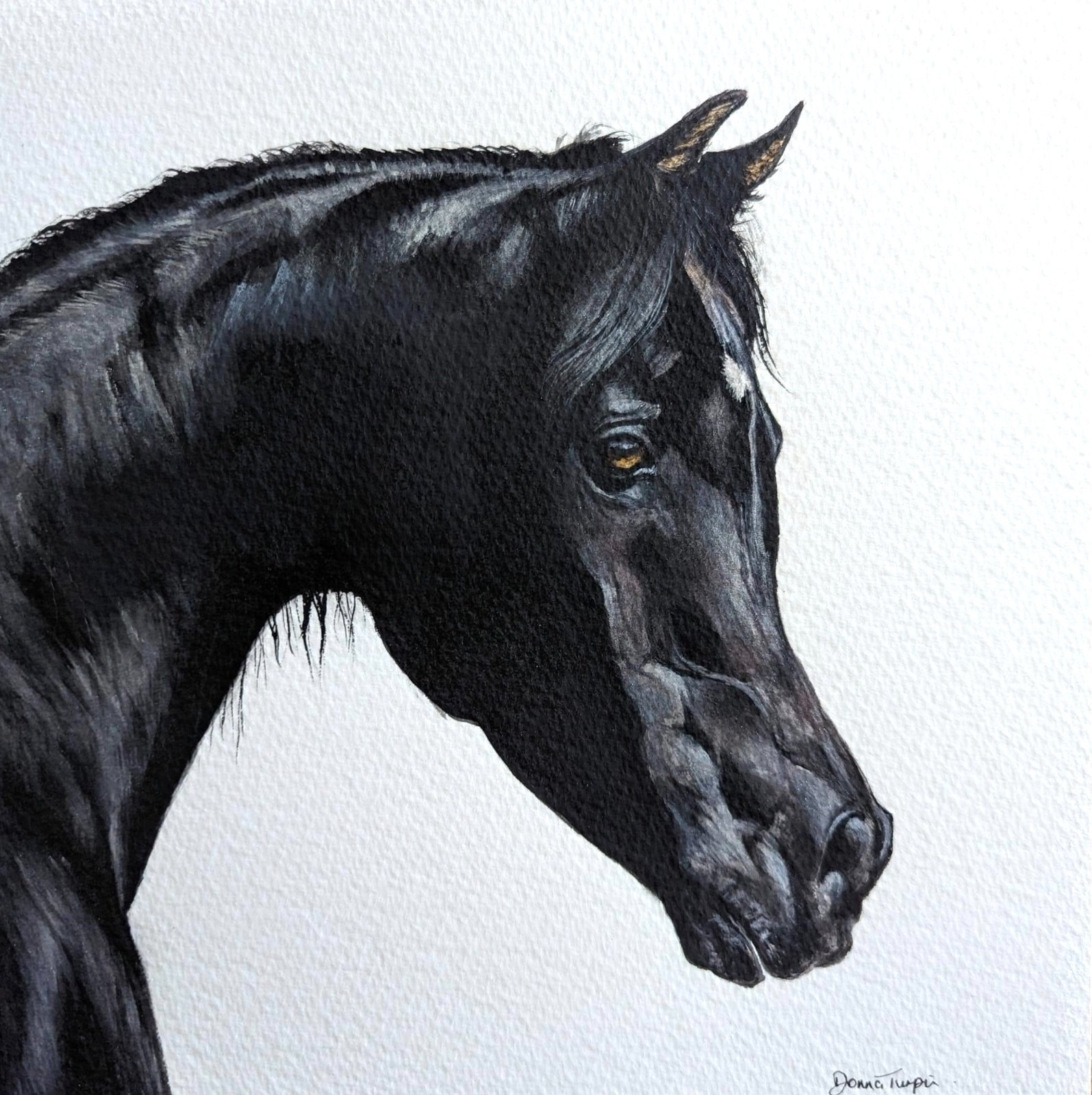 Artwork 38 by Art by Donna Turpin