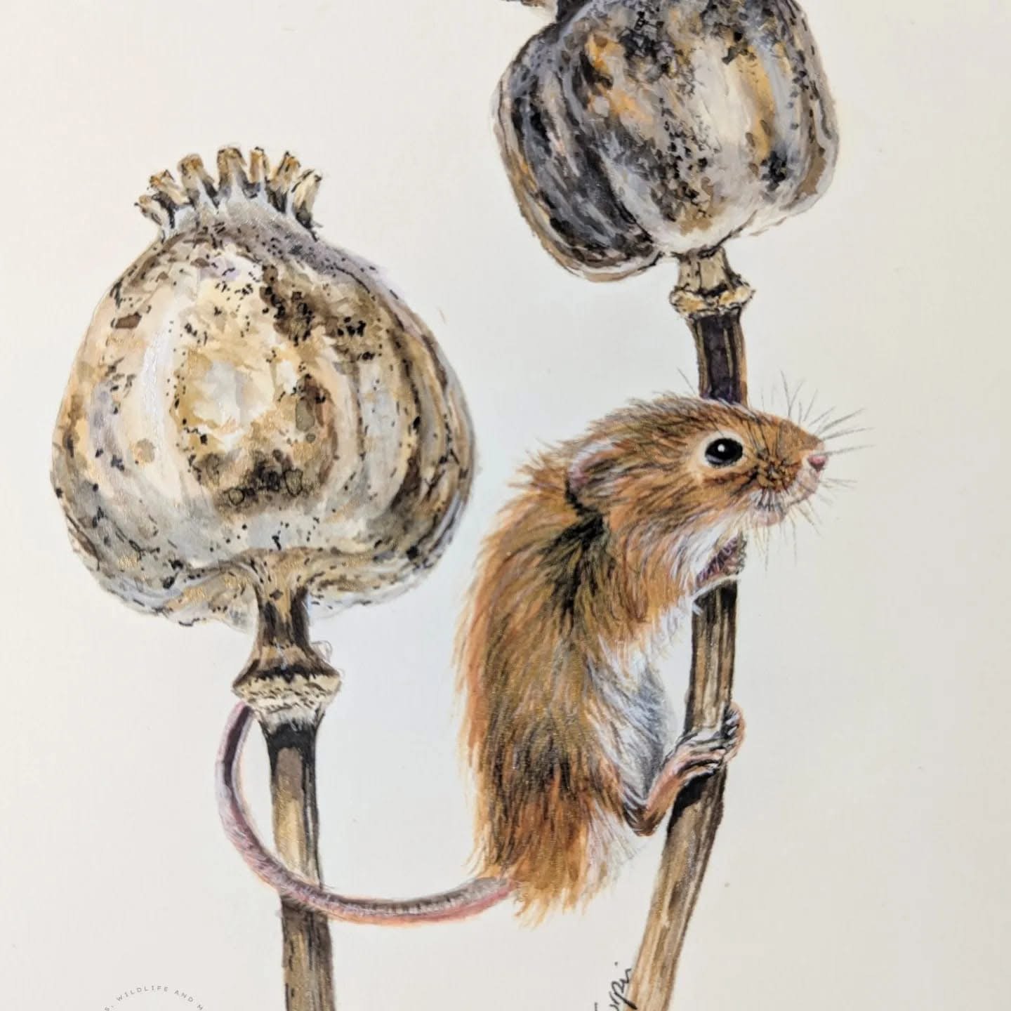 Artwork 41 by Art by Donna Turpin