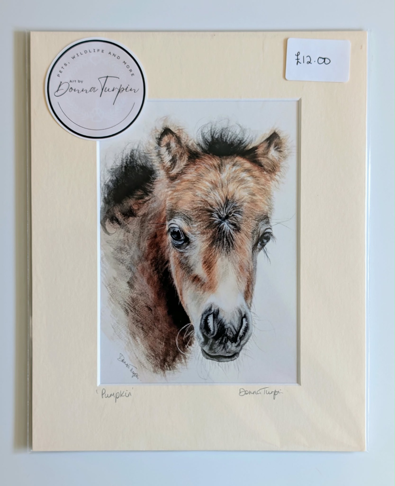 Ready to frame, fine art giclee print