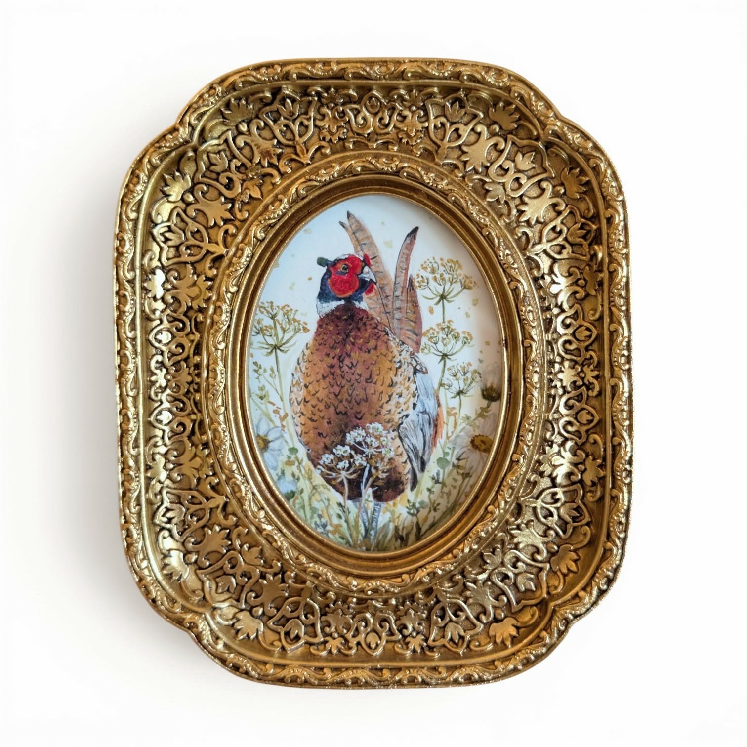 Phancy Pheasant