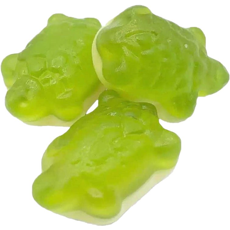 Terrific Turtles