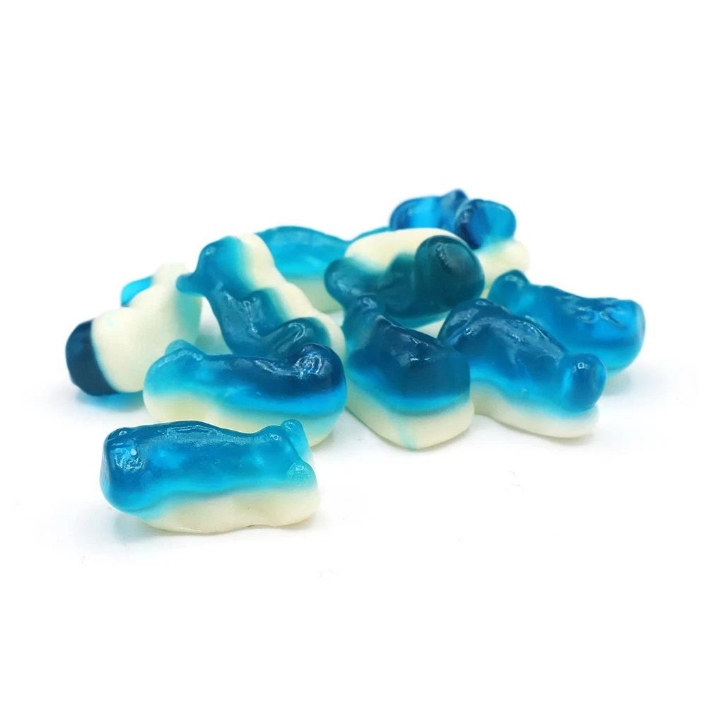 Mini Dolphins