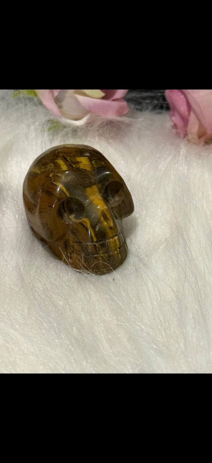 Tigers eye skull