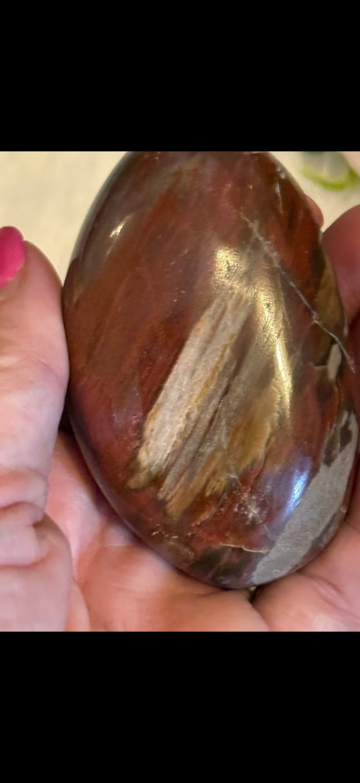 Petrified wood palm stone