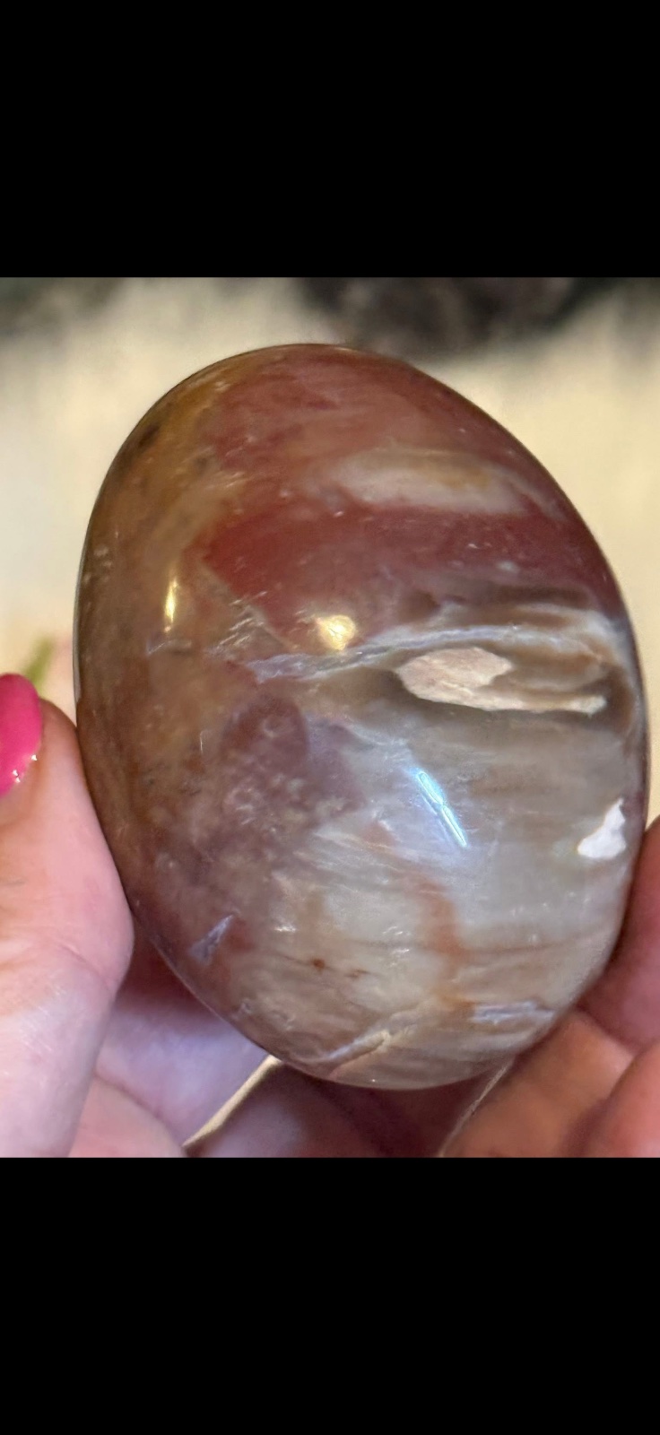 Petrified wood palm stone