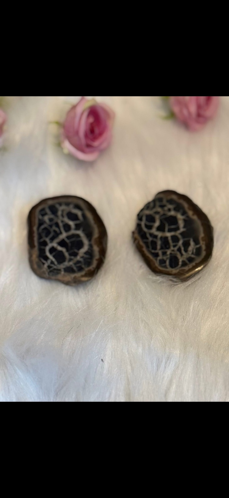 Septarian nodule