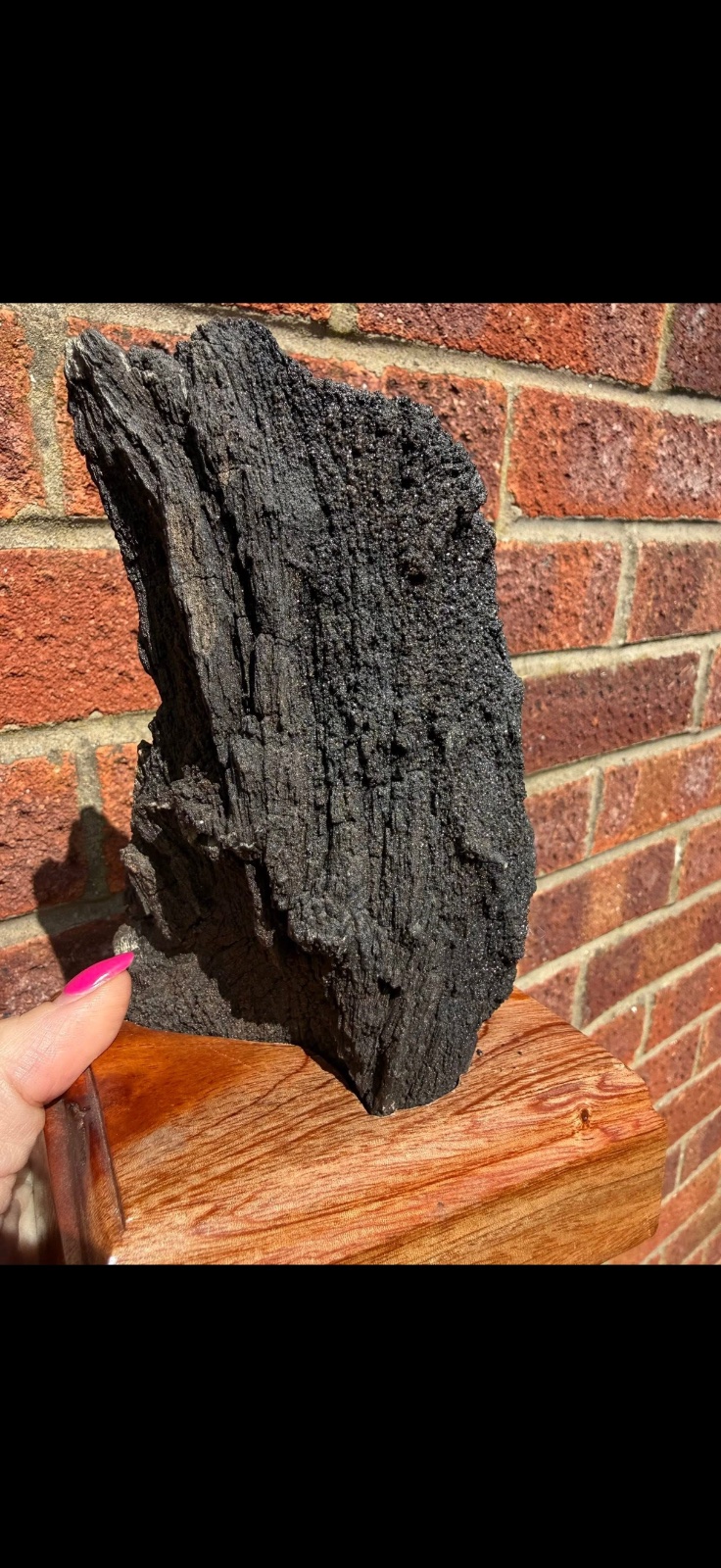 Premineralized wood with quartz