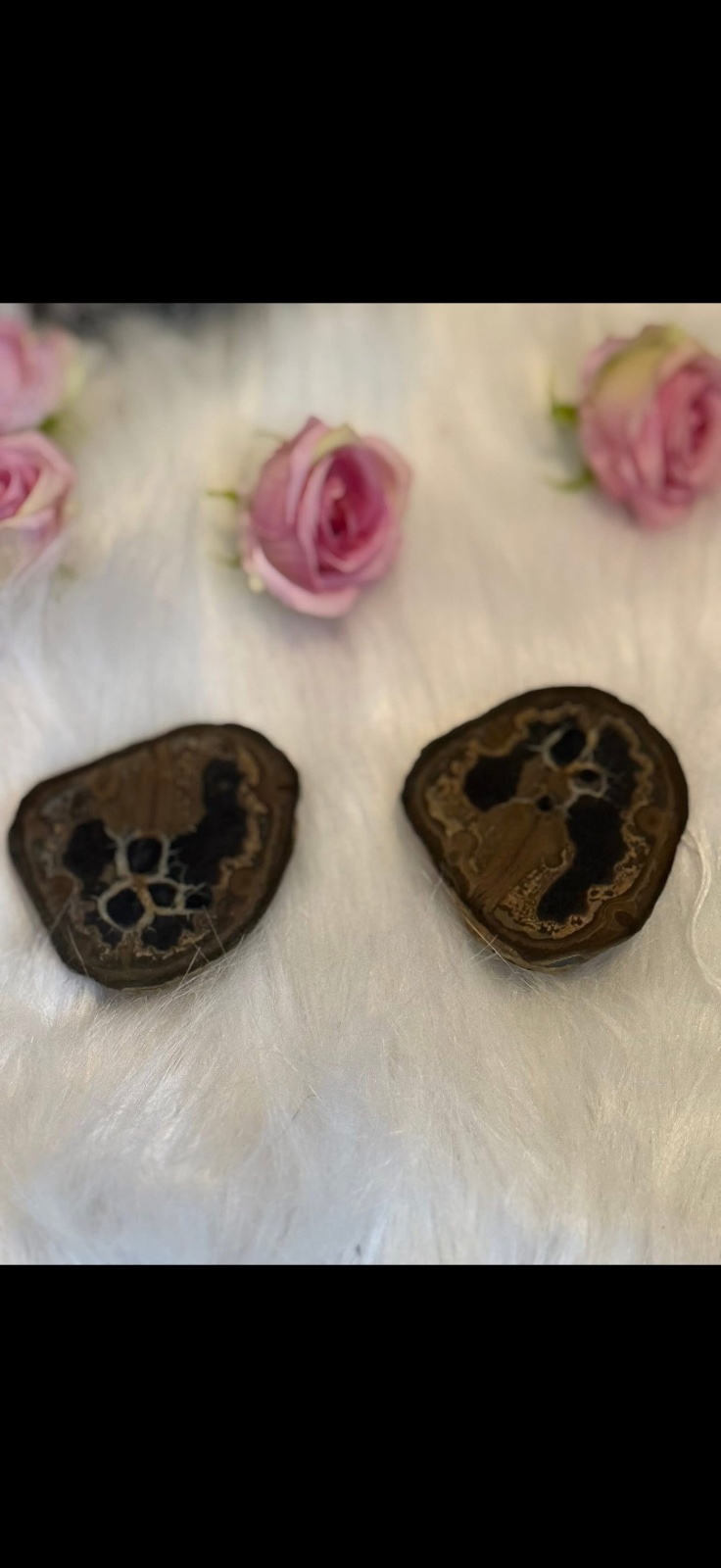 Septarian nodule pair
