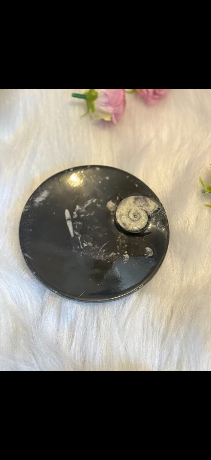 Fossil trinket dish