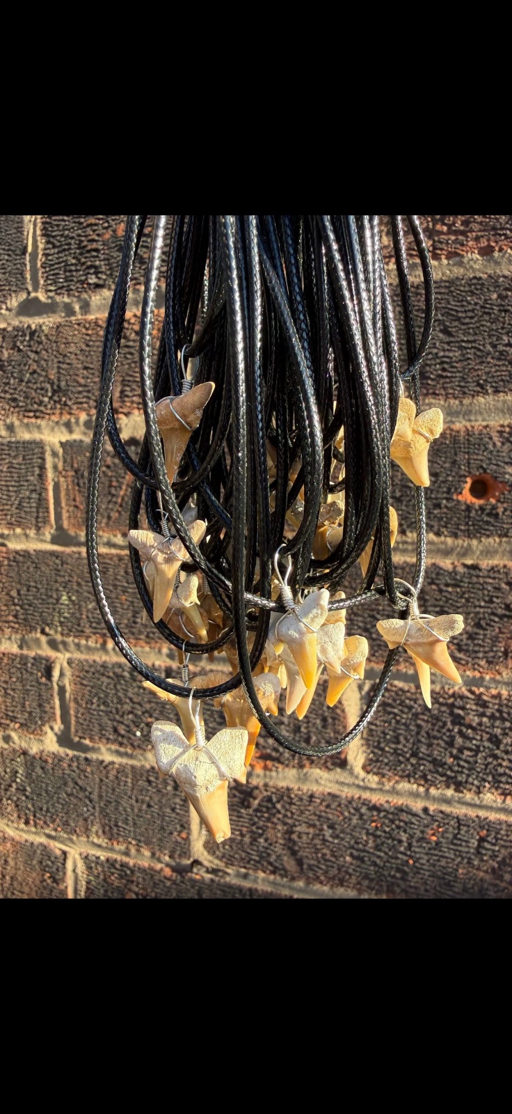 Wire wrapped shark tooth on a black cord
