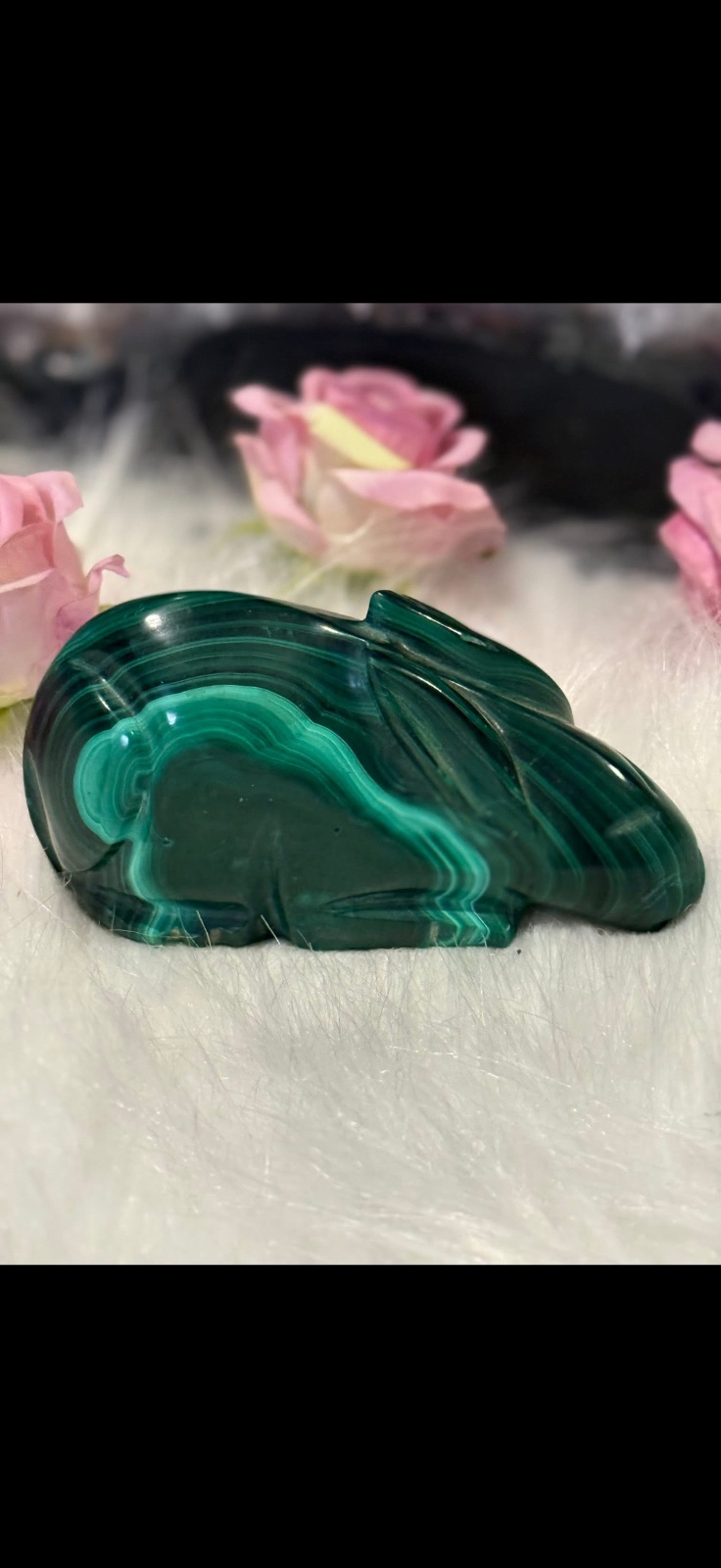 Malachite bunny