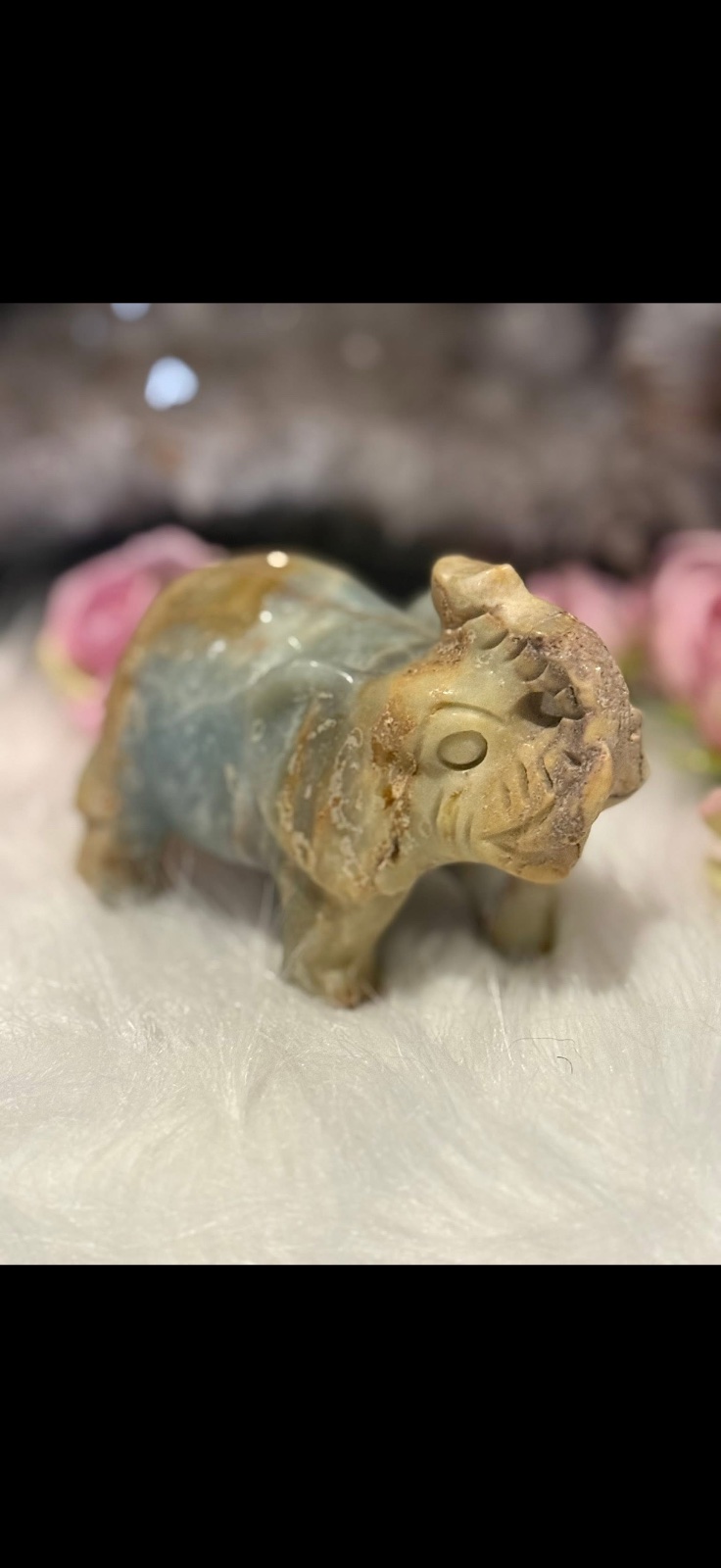 Caribbean calcite elephant