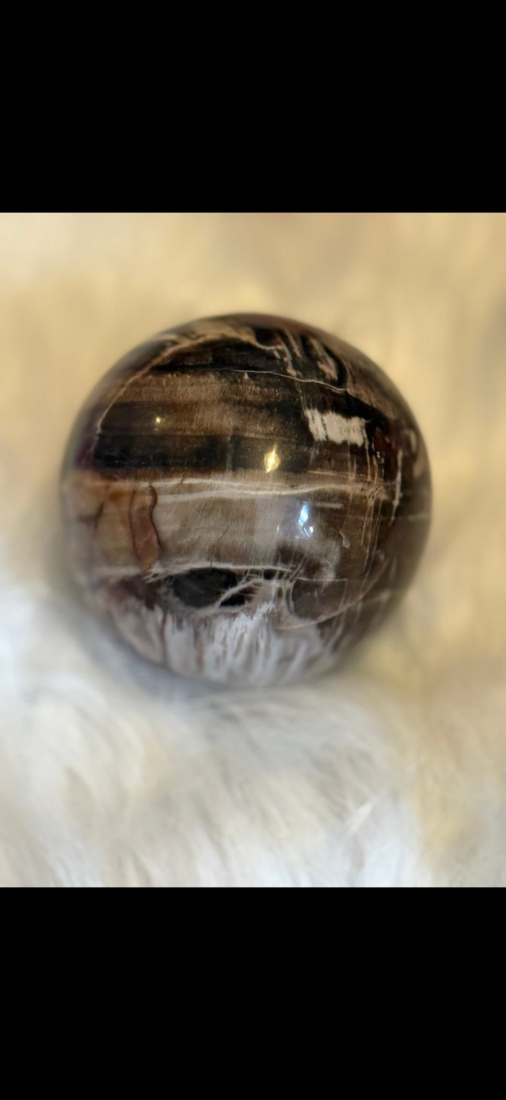 Petrified wood sphere from Madagascar