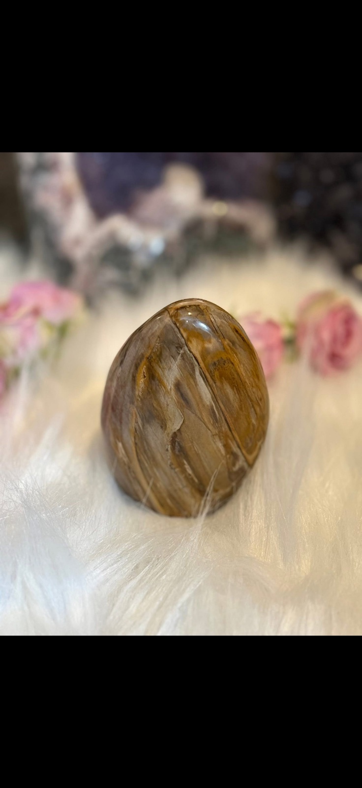 Petrified wood Freeform