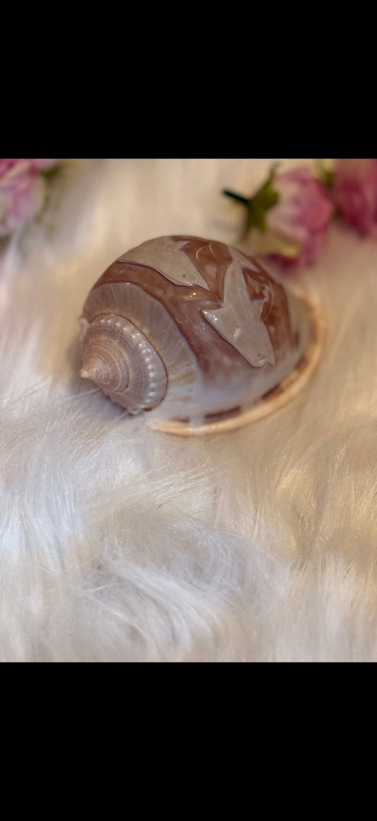 Vintage hand carved shell