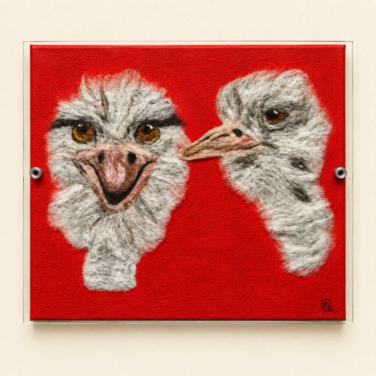 Mr & Mrs Ostrich