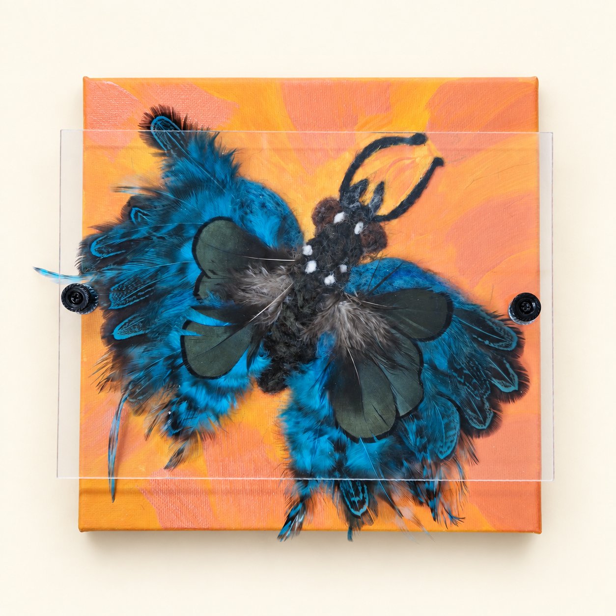 Luna the Butterfly