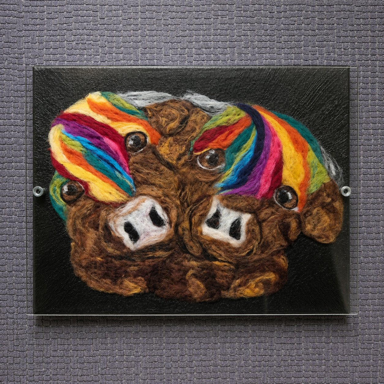 Rainbow duo highland cows