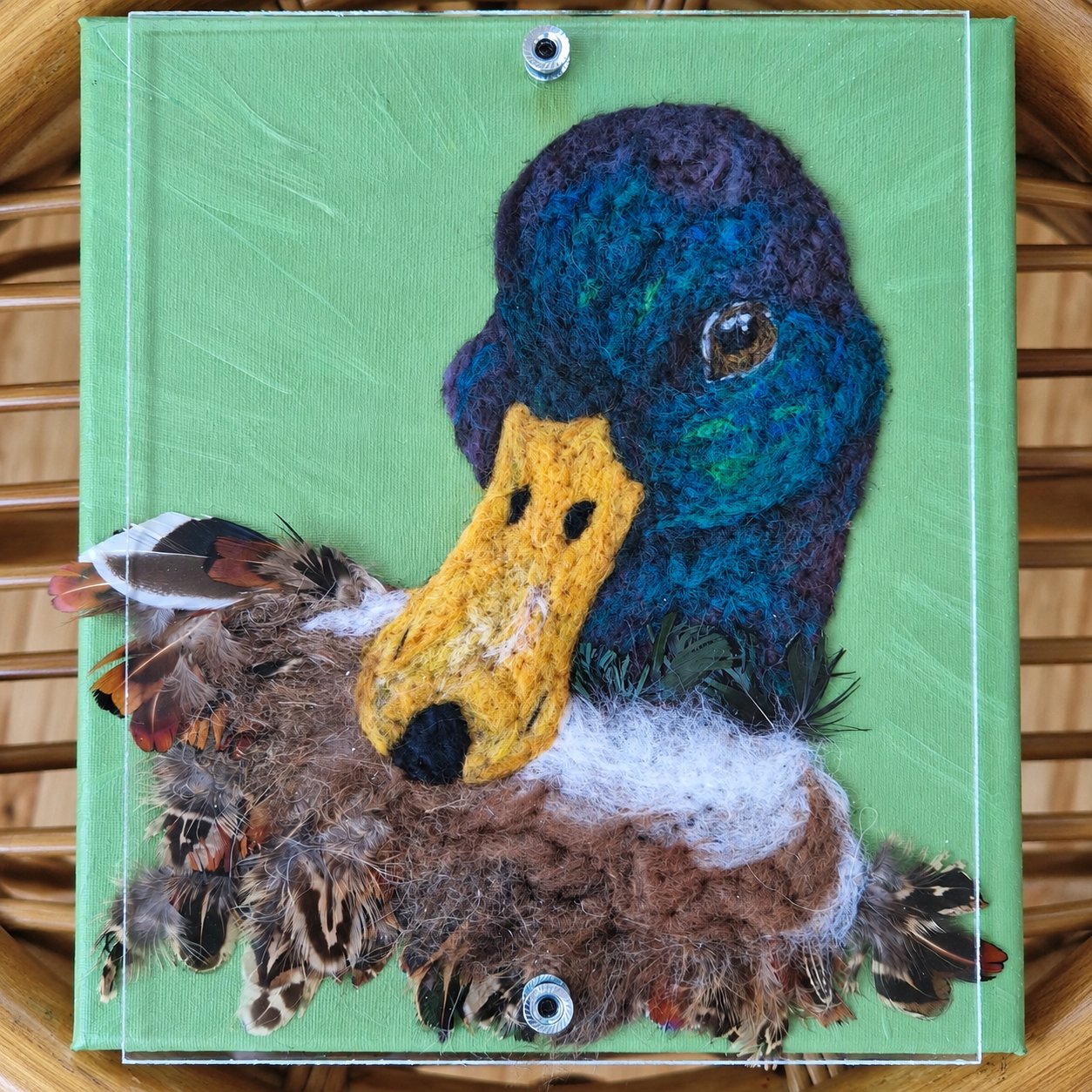 Cedrick the Mallard Duck