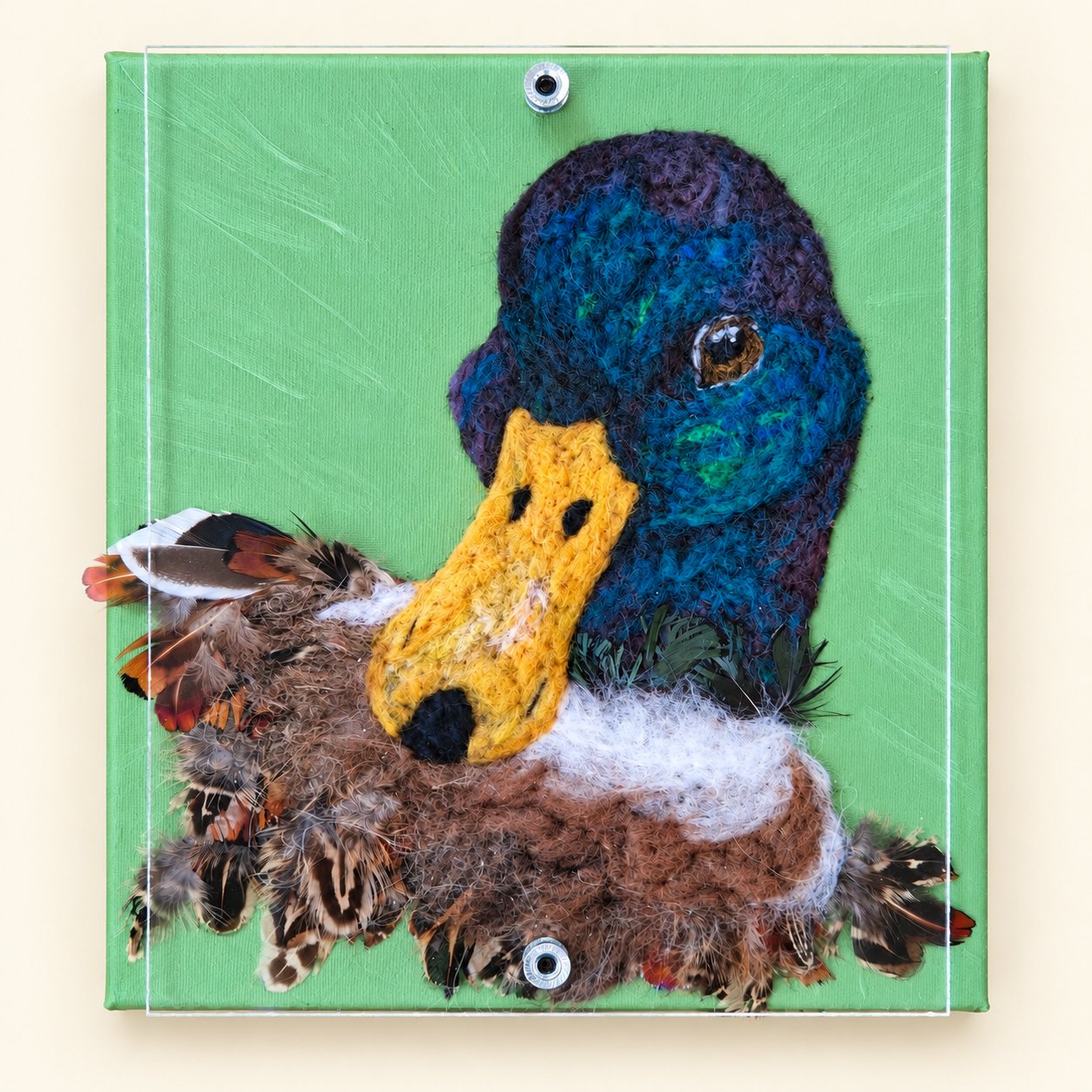 Cedrick the Mallard Duck