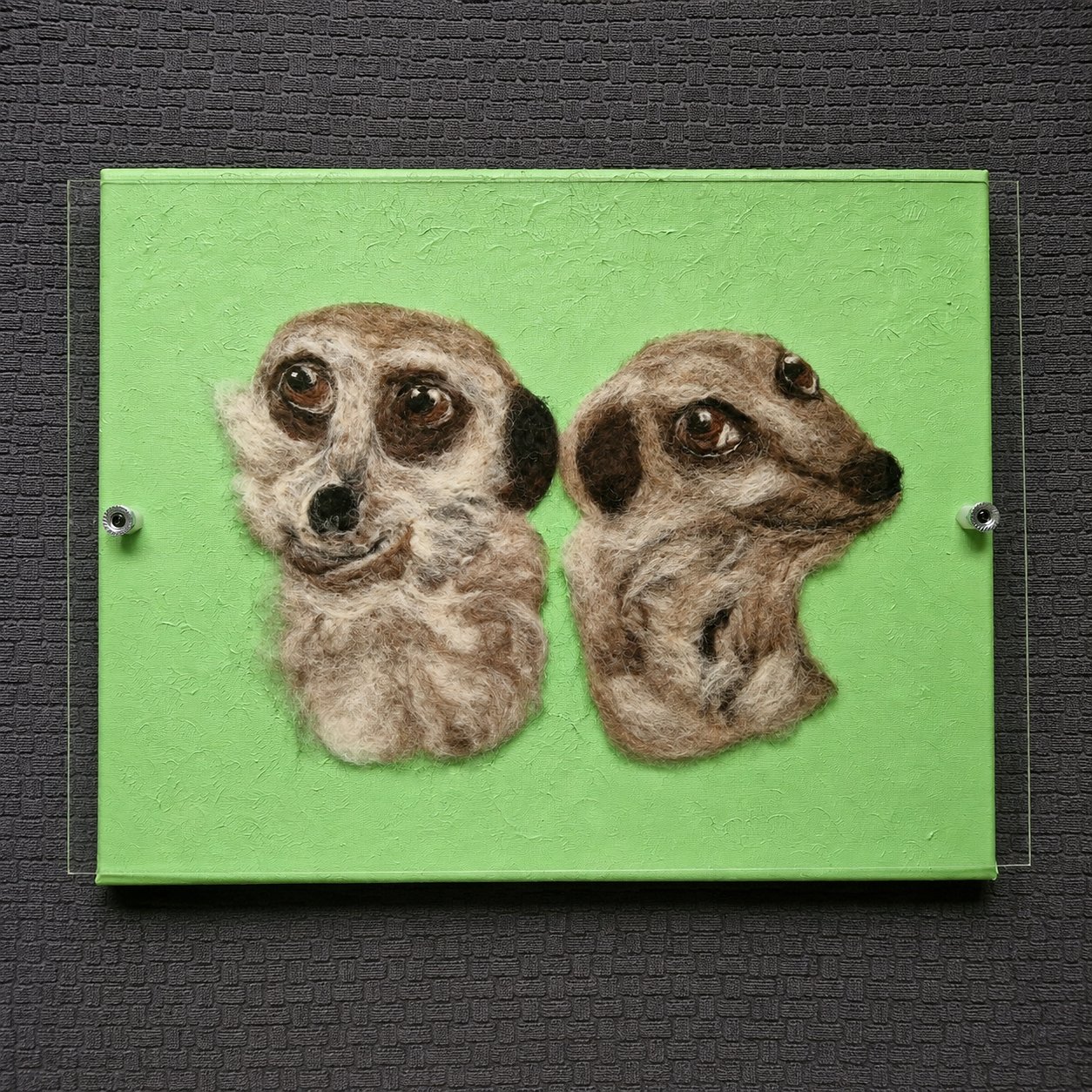 Mischievous Duo Meerkats