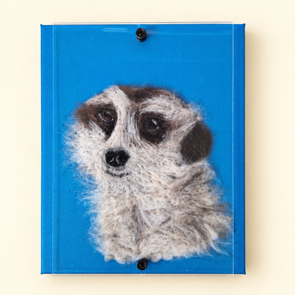 Myrtle The Meercat