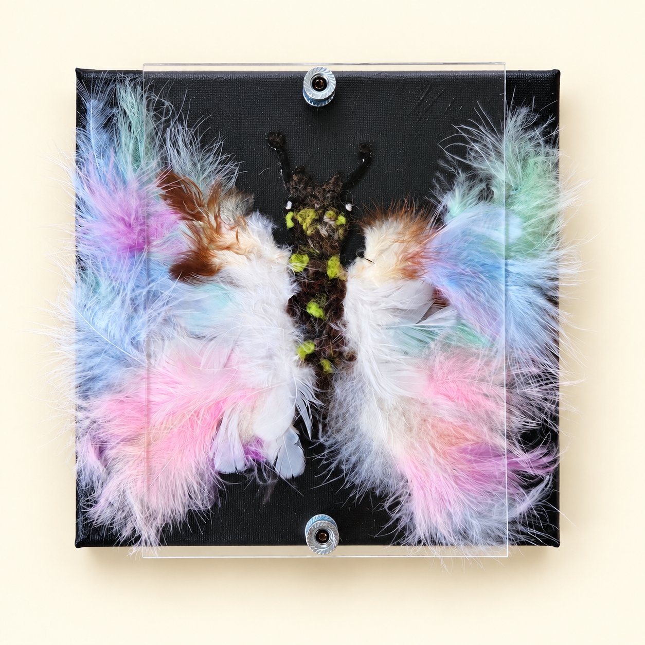 Clementine the Rainbow Flutterby