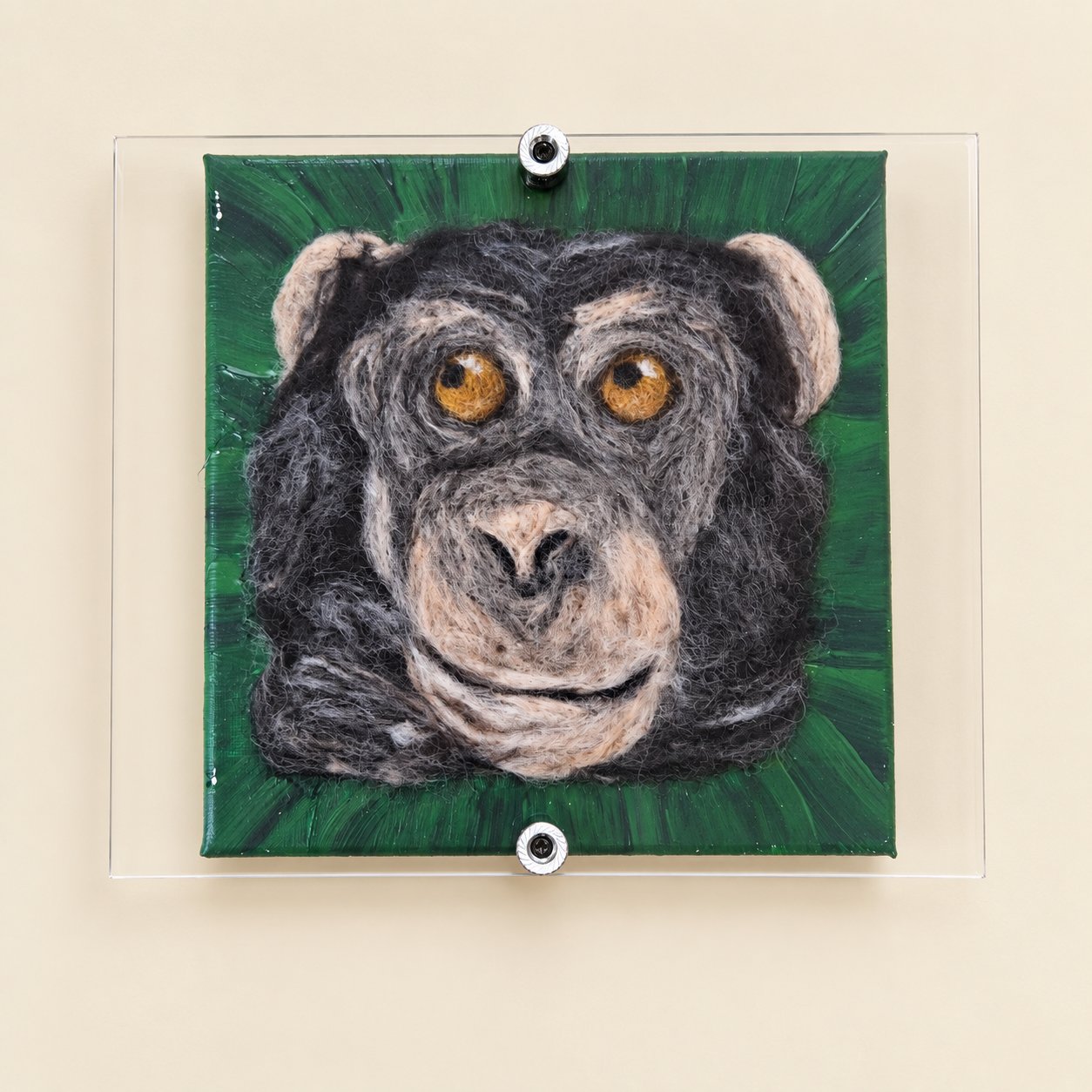 Franklin the Monkey