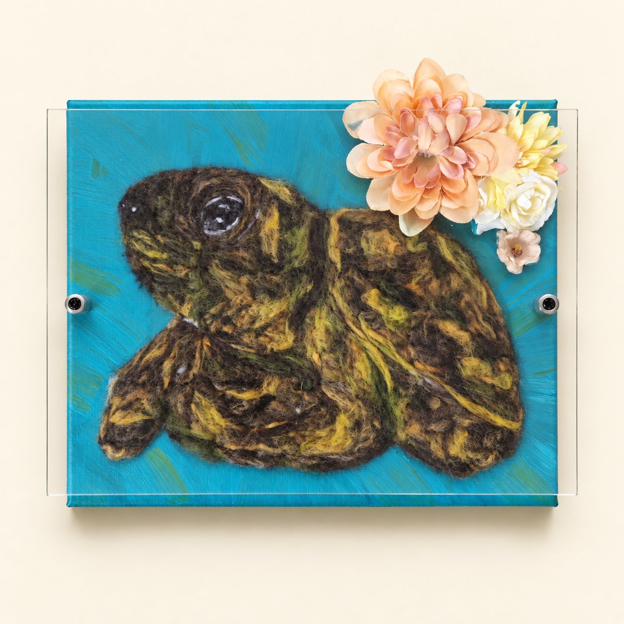 Turbo the Tortoise