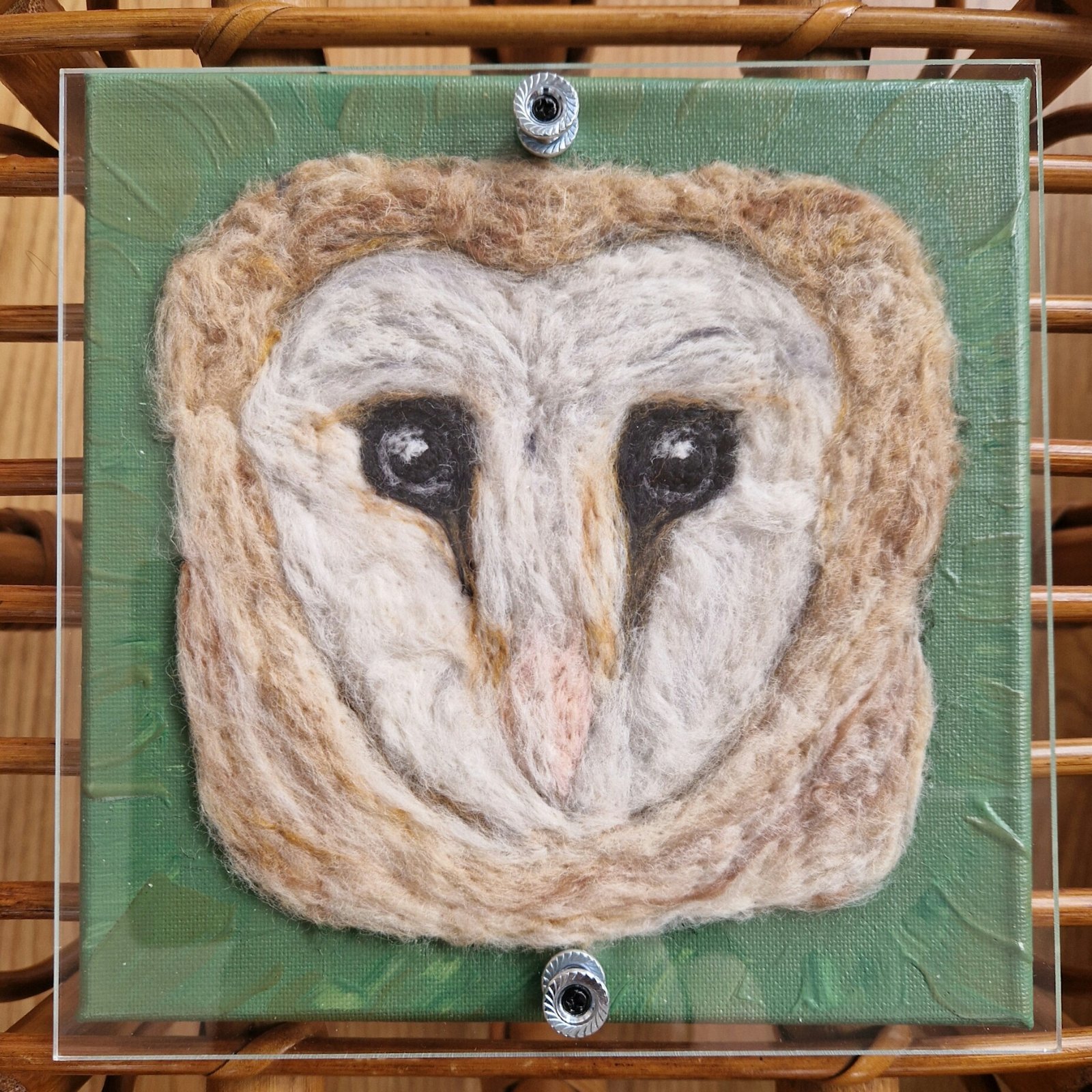 Barnaby the Barn Owl