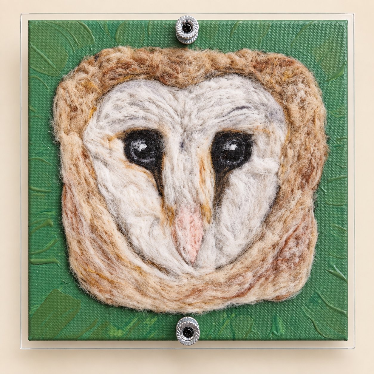 Barnaby the Barn Owl