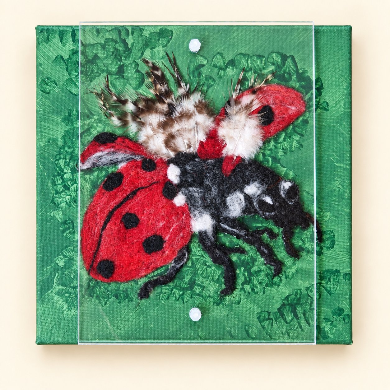 Iris the Ladybird