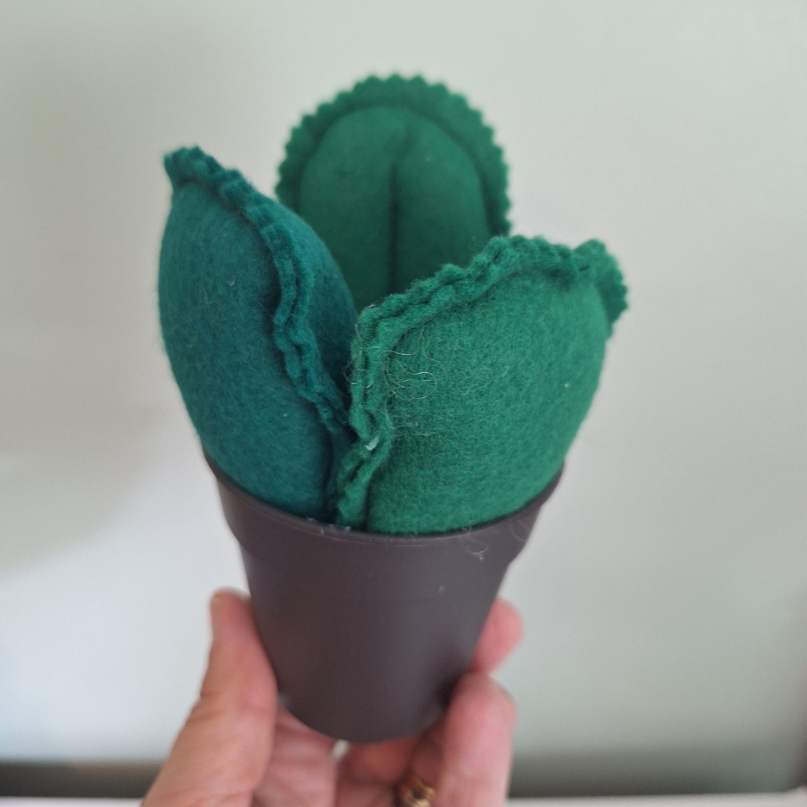 Small Cactus